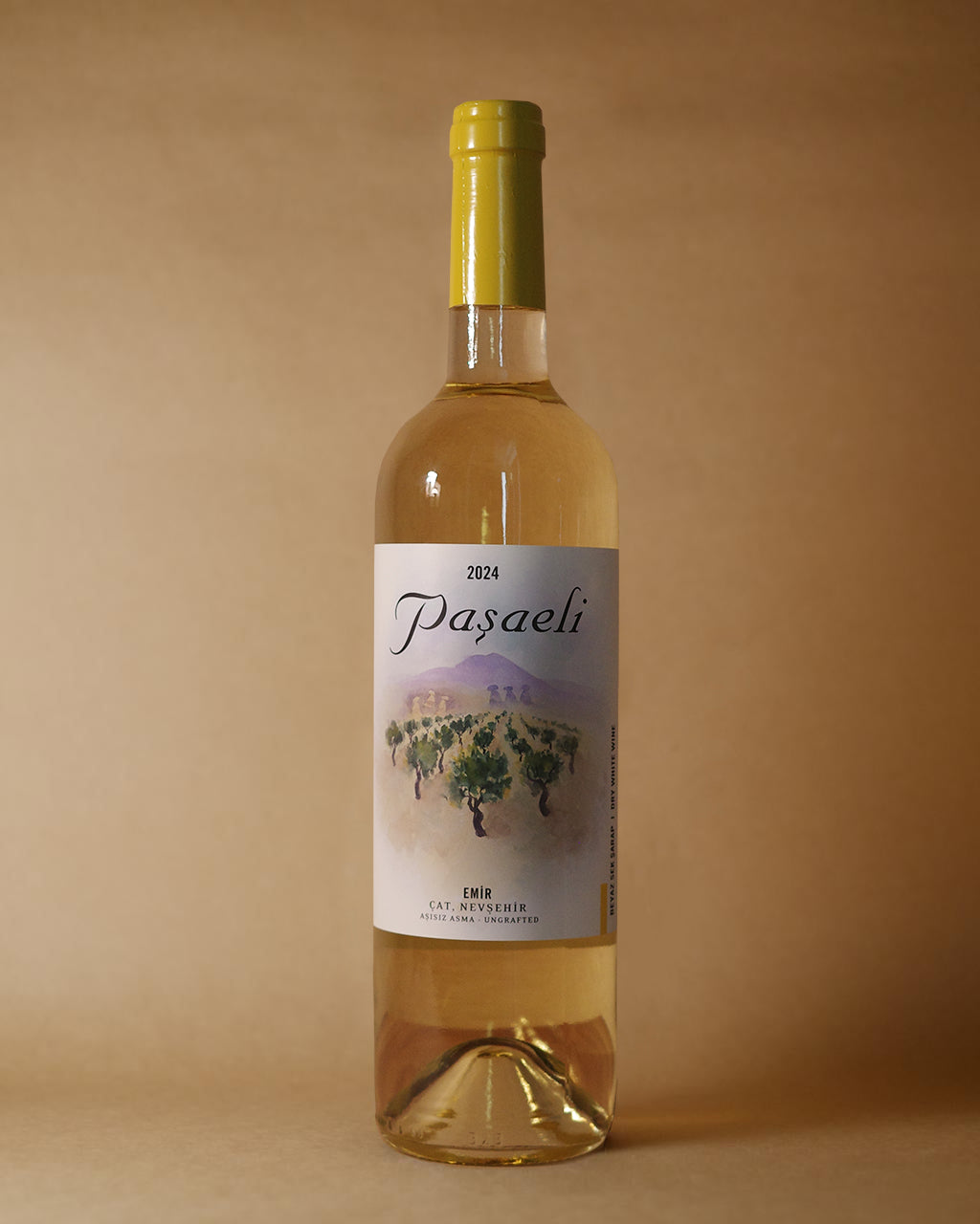 Pasaeli, Emir 2024