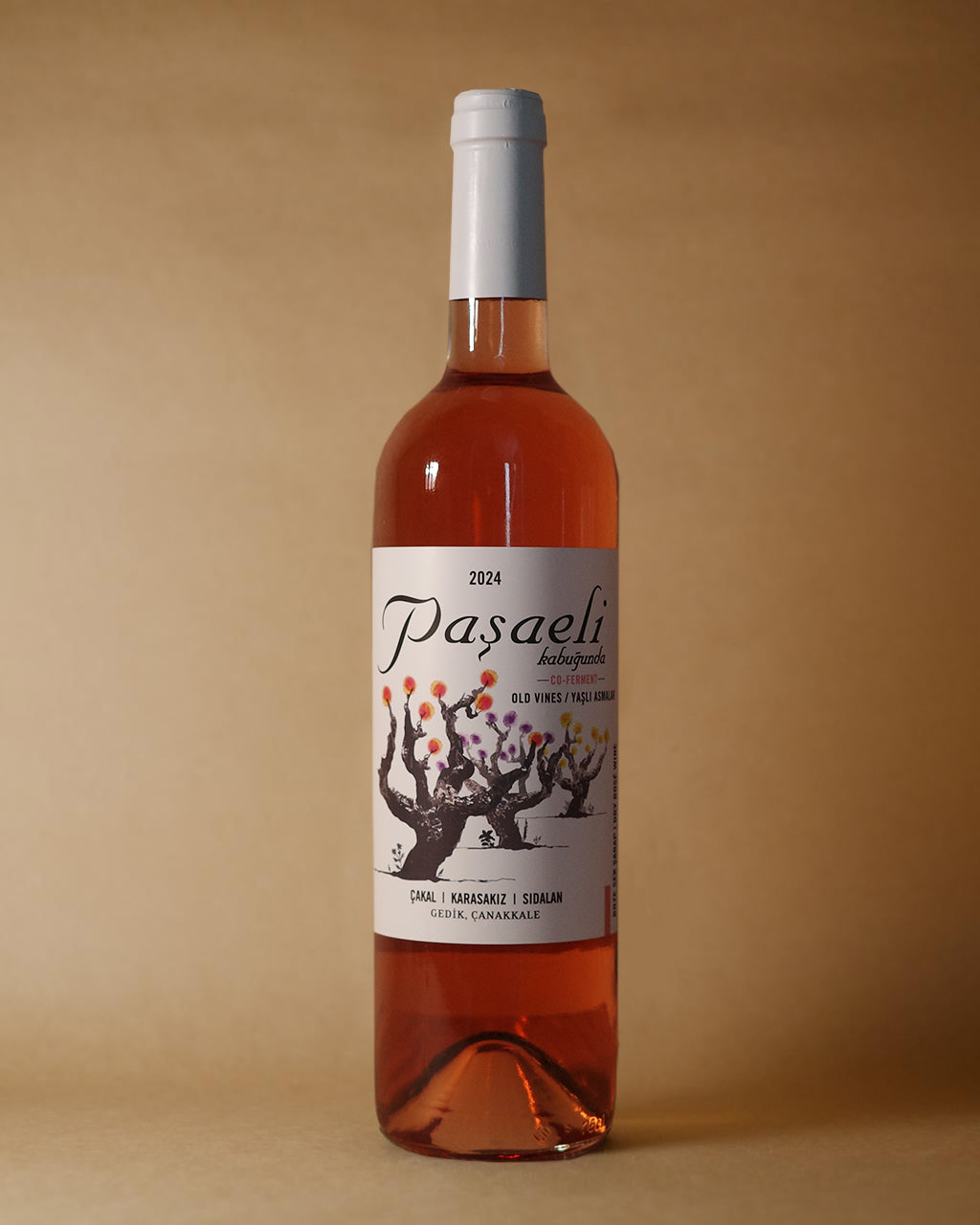 Pasaeli, Old Vines Co-Ferment 2024